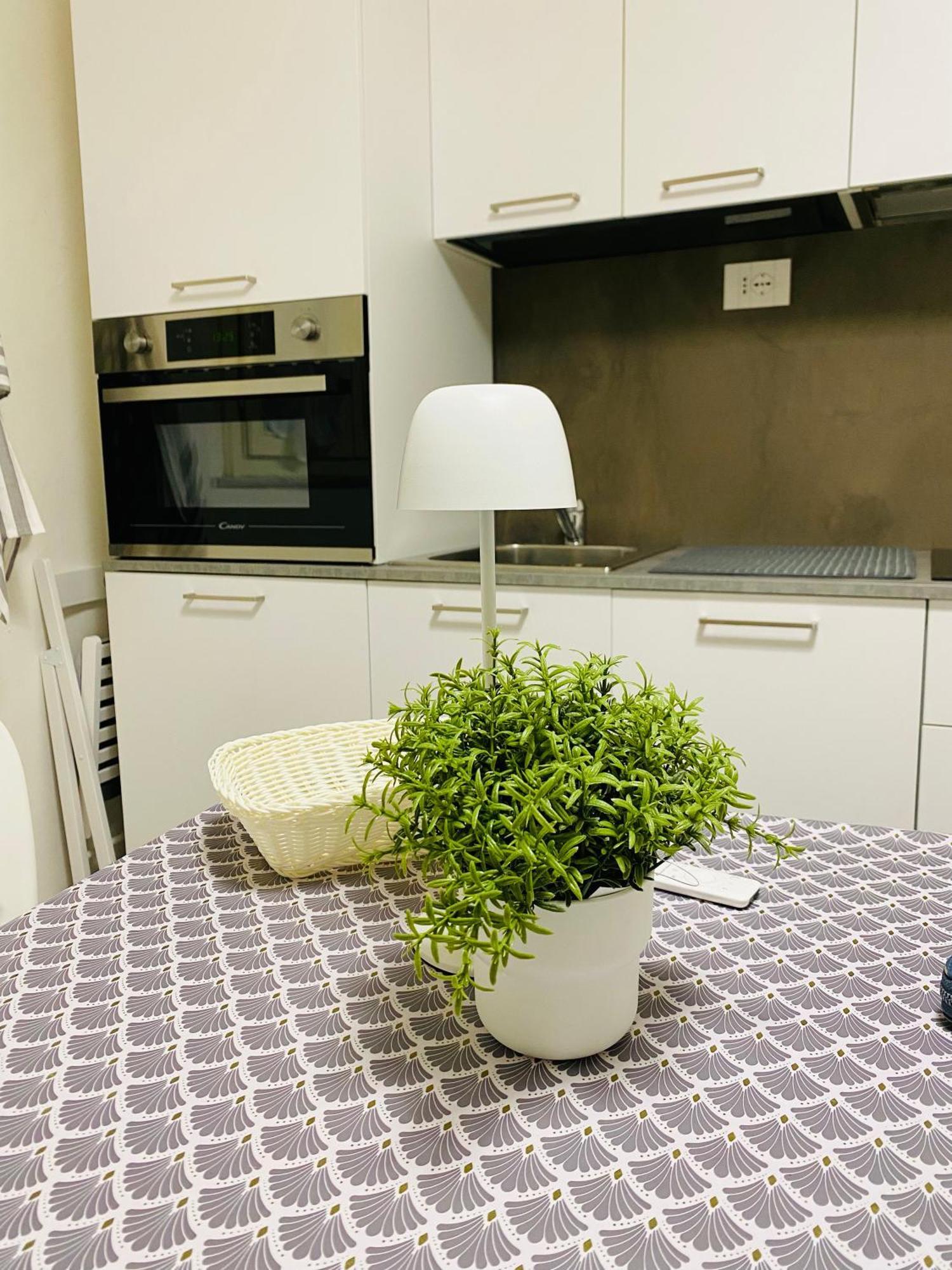 II Sogno Nel Vicolo Apartment Pisa Ngoại thất bức ảnh